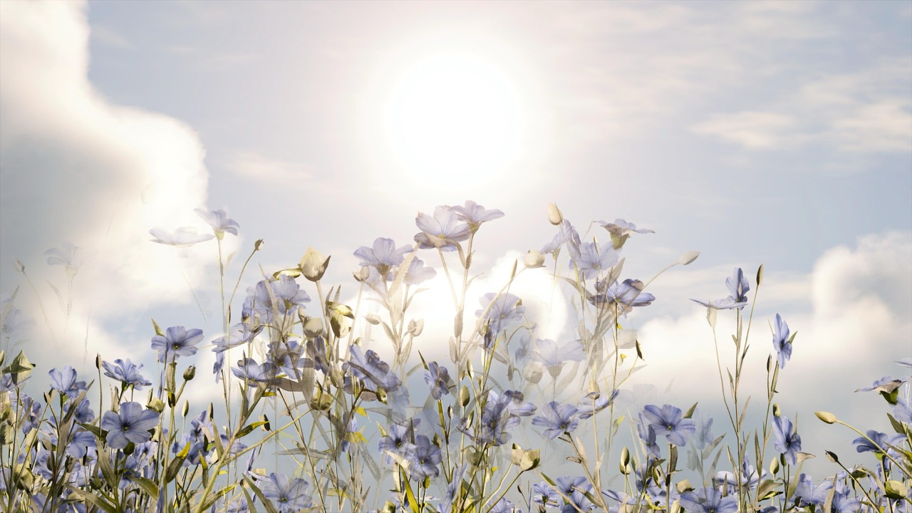 Studies on Breaking Immersion